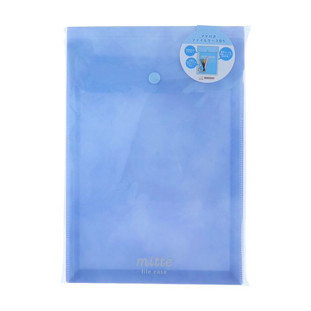 Amazon | サンスター文具(Sun-Star Stationery) ファイルケース B5